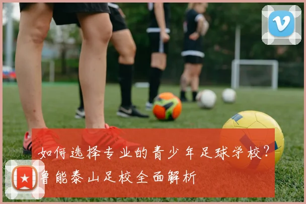 如何选择专业的青少年足球学校？鲁能泰山足校全面解析
