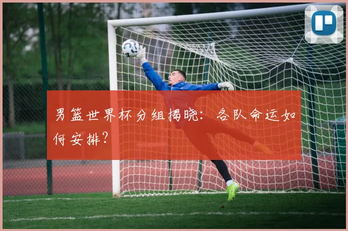 男篮世界杯分组揭晓：各队命运如何安排？