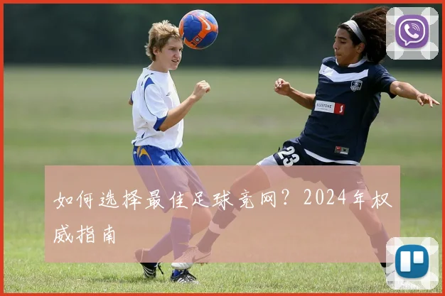 如何选择最佳足球竞网？2024年权威指南